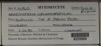 Image Associated With the Occurence